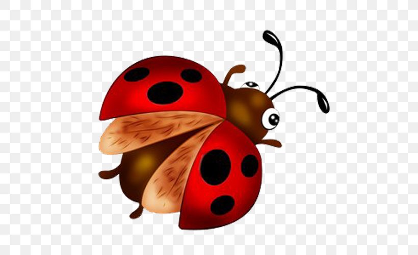 Coccinella Septempunctata Insect Animation Clip Art, PNG, 500x500px, Coccinella Septempunctata, Adobe Flash, Animation, Arthropod, Beetle Download Free