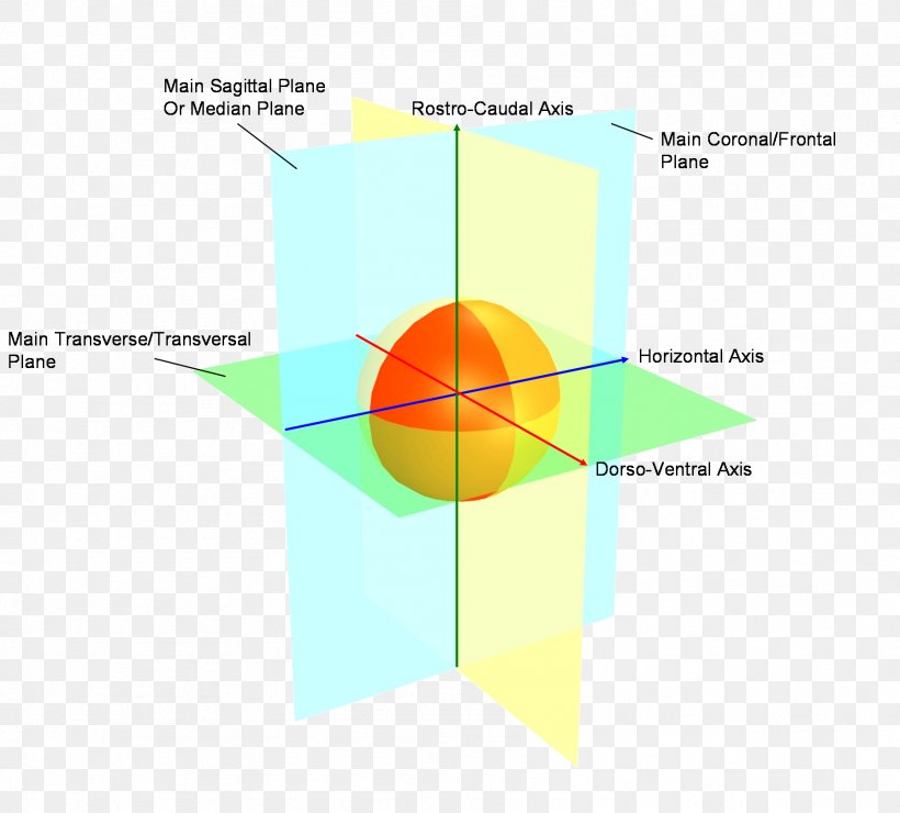 Diagram Line Angle, PNG, 1792x1619px, Diagram, Area, Symmetry Download Free