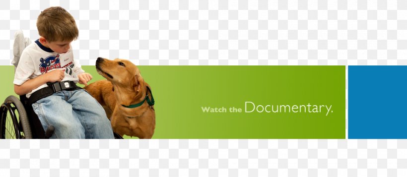 Dog Breed Through A Dog's Eyes Puppy Service Dog, PNG, 960x419px, Dog Breed, Advertising, Animalassisted Therapy, Behavior, Brand Download Free