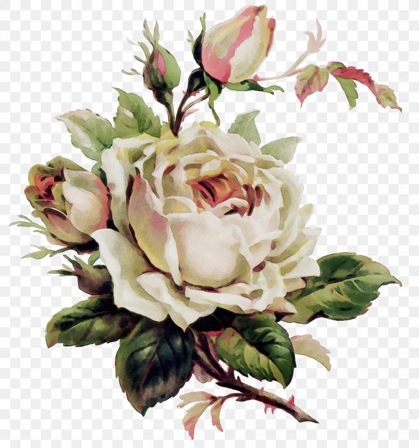 Garden Roses, PNG, 1097x1172px, Watercolor, Bouquet, Cut Flowers, Flower, Flowering Plant Download Free