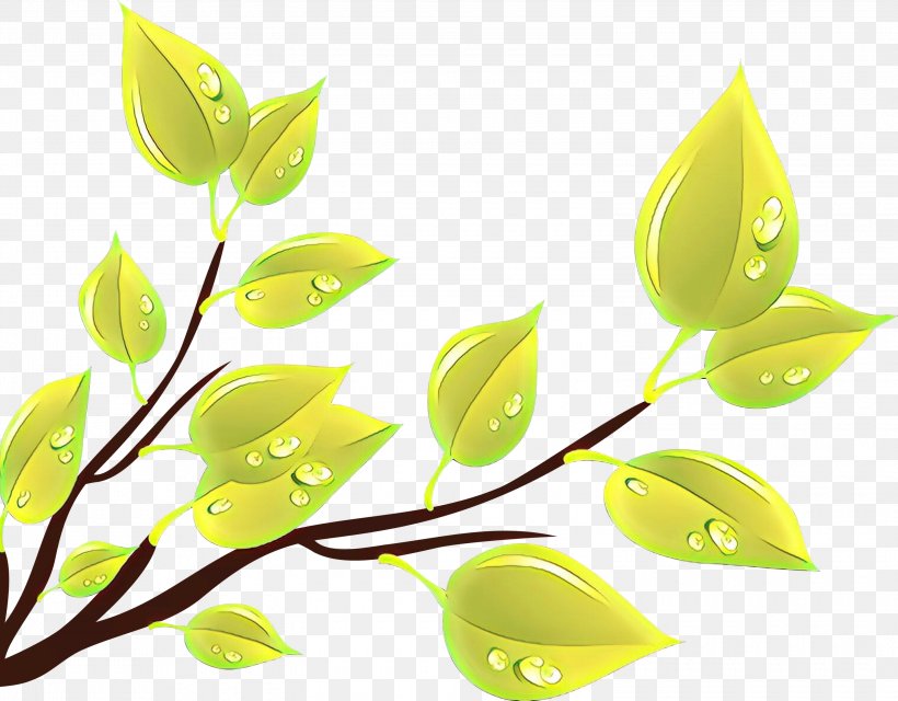 Leaf Green Plant Yellow Flower, PNG, 3000x2342px, Cartoon, Branch, Flower, Green, Leaf Download Free