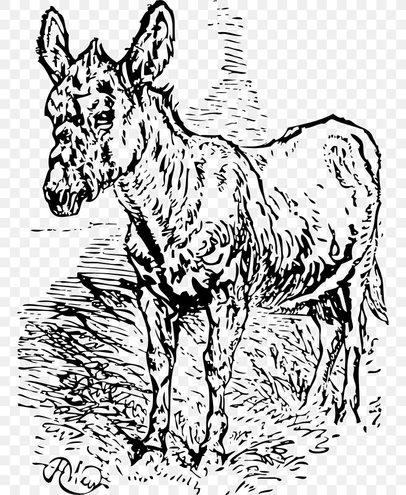 Mule Donkey Horse Stallion Mare, PNG, 750x1000px, Mule, Animal Figure, Art, Black And White, Cattle Like Mammal Download Free