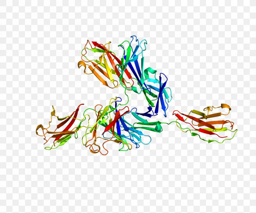 Basigin Protein Cluster Of Differentiation Blood Type Antigen, PNG, 1200x1000px, Protein, Antigen, Art, Artwork, Blood Download Free