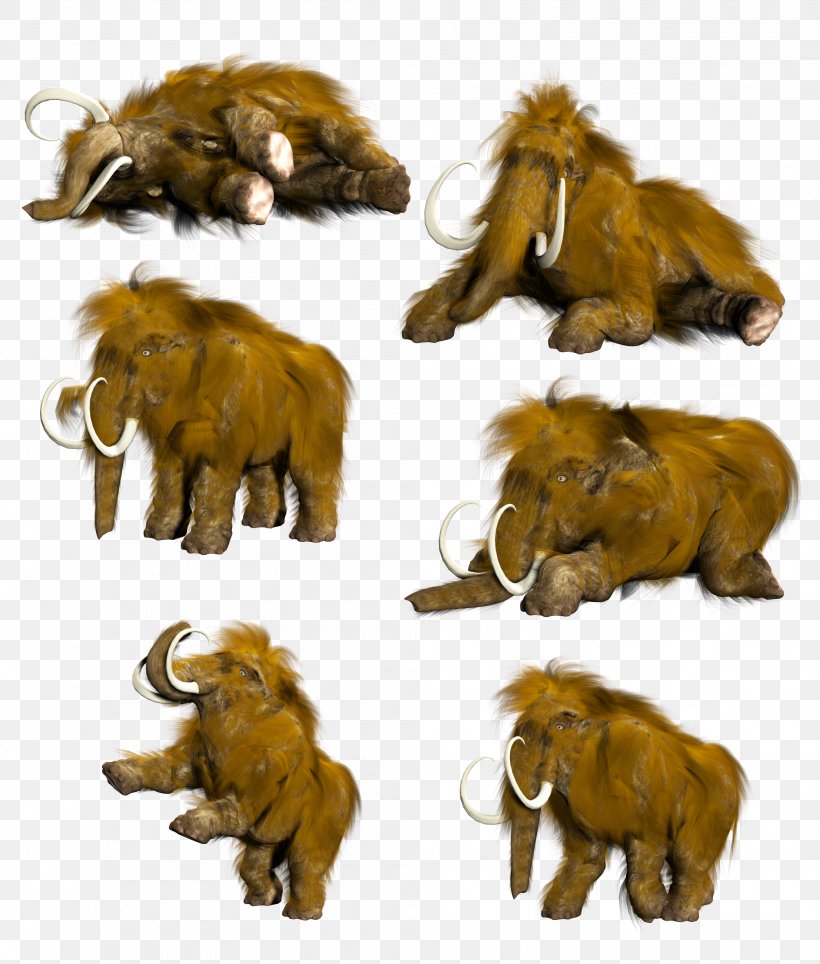 Lion Mammoth Elephant Clip Art, PNG, 2008x2362px, Lion, African Elephant, Animal, Animal Figure, Big Cat Download Free