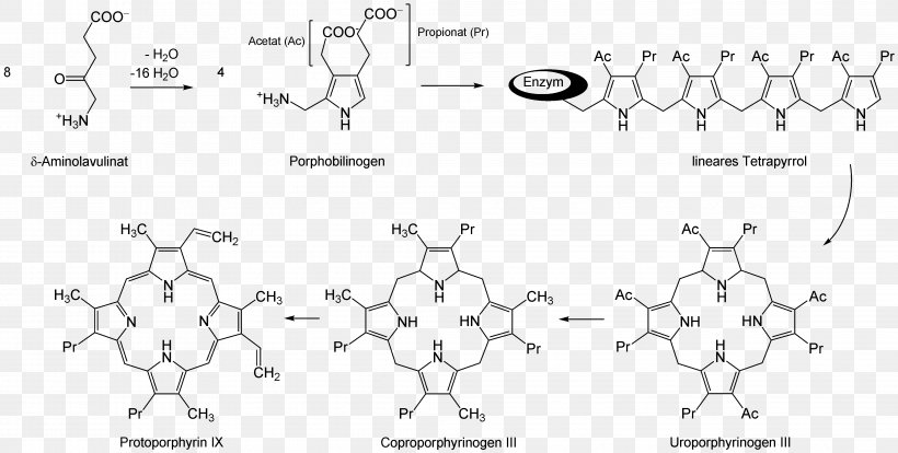 5-Aminolevulinic Acid Aminolevulinic Acid Synthase Uroporphyrinogen III Succinyl-CoA, PNG, 4129x2085px, 5aminolevulinic Acid, Area, Biosynthesis, Black And White, Coenzyme A Download Free