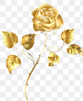 Golden Flowers Images, Golden Flowers Transparent PNG, Free download