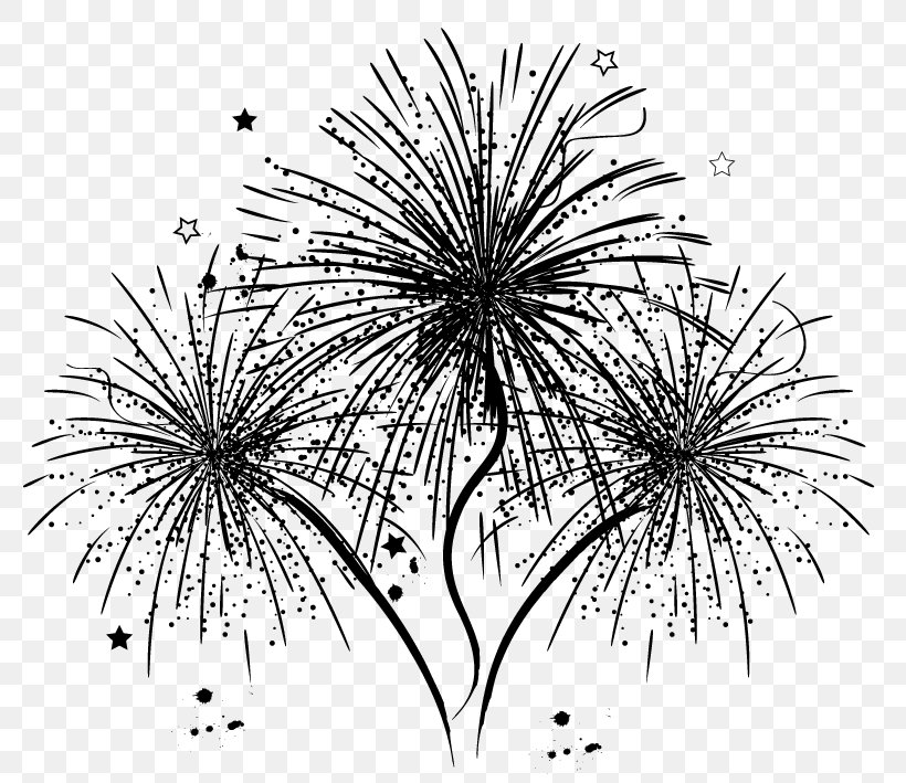 Fireworks Chinese New Year Explosion National Day Of The People's Republic Of China Stroke, PNG, 784x709px, Fireworks, Black, Blackandwhite, Botany, Child Download Free