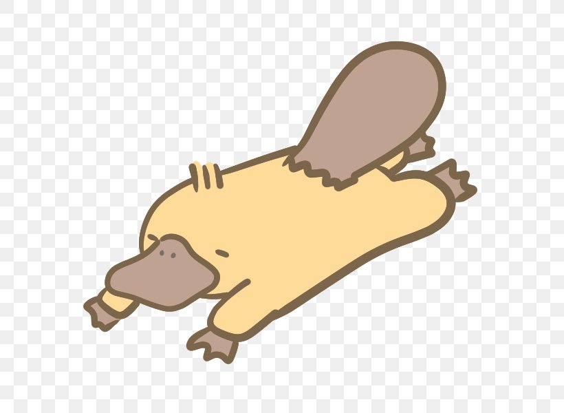 Platypus Canidae Microsoft Office 365 もこもこもこ Child, PNG, 600x600px, Platypus, Beak, Bear, Caccola, Canidae Download Free