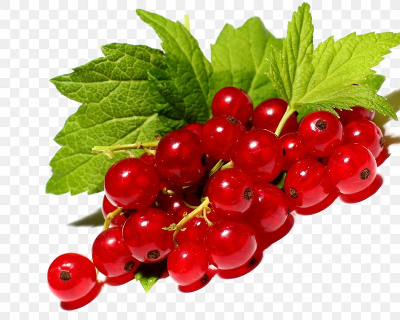 Redcurrant Blackcurrant Berry Fruit Price, PNG, 1000x800px, Redcurrant, Artikel, Berry, Blackberry, Blackcurrant Download Free