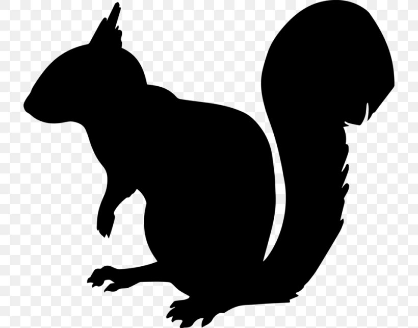 Squirrel Cartoon, PNG, 728x643px, Squirrel, Black Squirrel, Blackandwhite, Eastern Gray Squirrel, Ferret Download Free