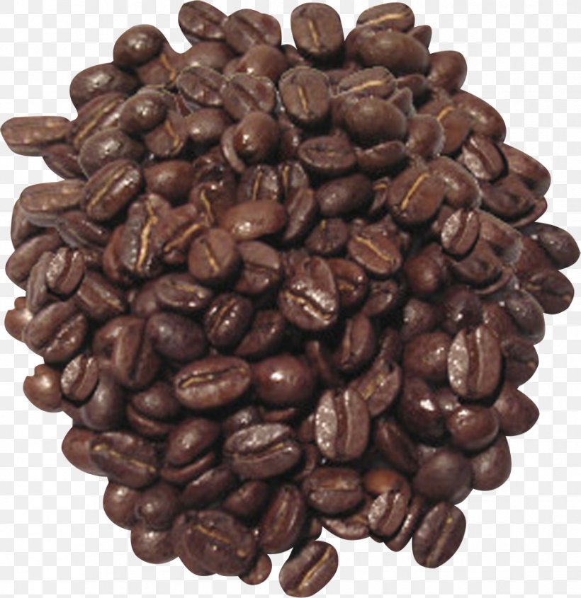 Coffee Bean Tea Cafe Wiener Melange, PNG, 927x956px, Coffee, Alcoholic Drink, Antibiotics, Arabica Coffee, Bean Download Free