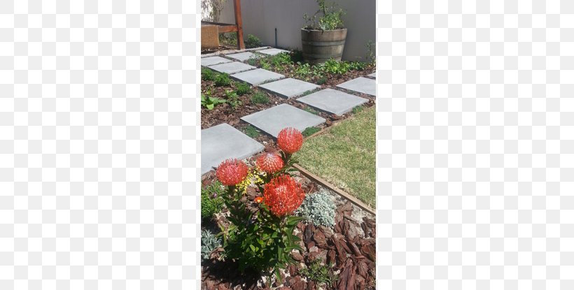 Flora Landscaping Backyard Walkway Lawn, PNG, 630x415px, Flora, Backyard, Flower, Flowerpot, Garden Download Free