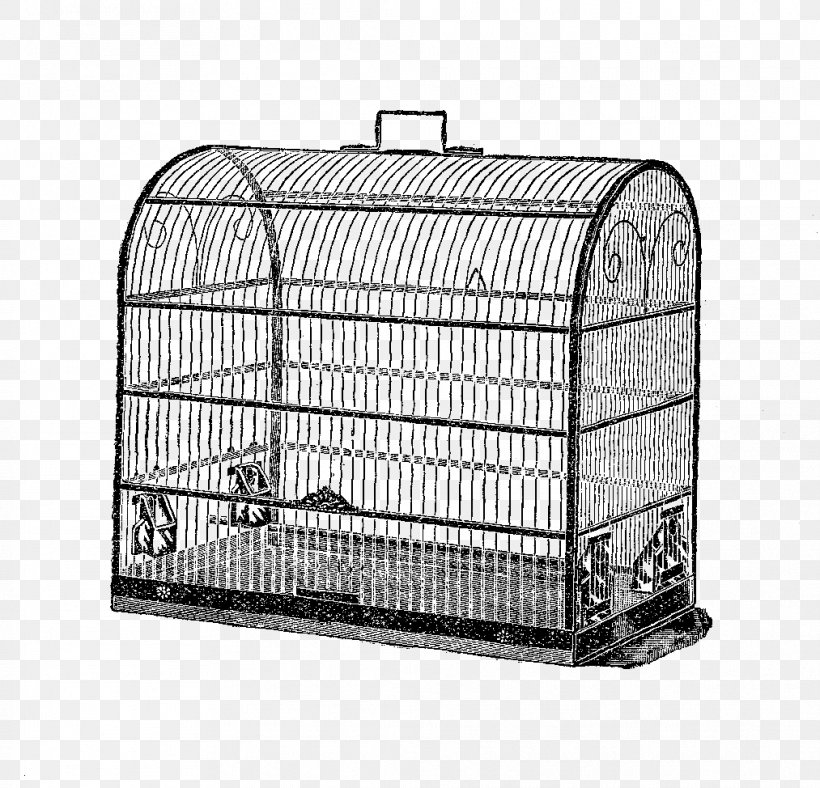 Birdcage Domestic Canary Clip Art, PNG, 1013x974px, Bird, Automotive Exterior, Birdcage, Black And White, Cage Download Free