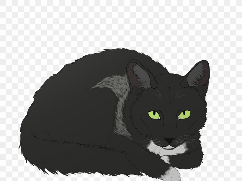 Domestic Short-haired Cat Whiskers Fur Felicia Hardy, PNG, 900x672px, Domestic Shorthaired Cat, Black, Black Cat, Black M, Carnivoran Download Free