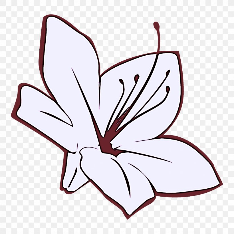 Leaf Plant Petal Pedicel Flower, PNG, 1200x1200px, Leaf, Butterfly, Flower, Herbaceous Plant, Pedicel Download Free
