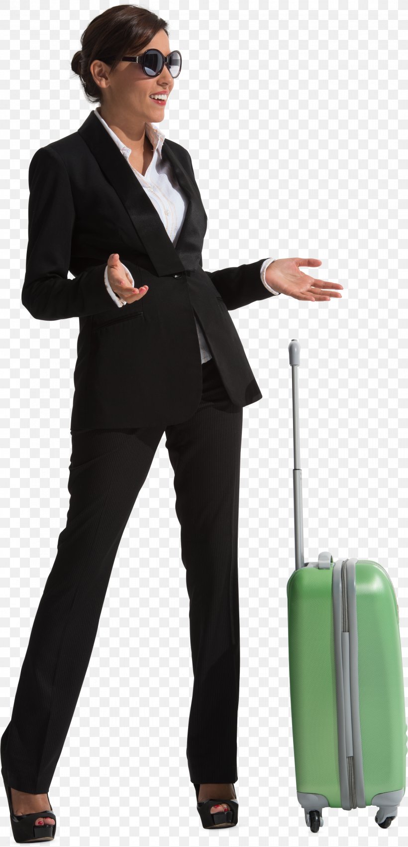Suitcase Baggage Download, PNG, 1928x4000px, Suitcase, Animal, Baggage, Business, Businessperson Download Free