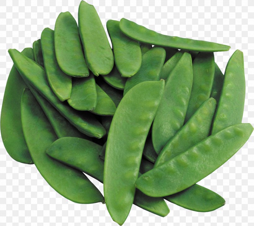 Lablab Bean Lentil Food Vegetable, PNG, 2781x2480px, Lablab, Bean, Blackeyed Pea, Braising, Common Bean Download Free