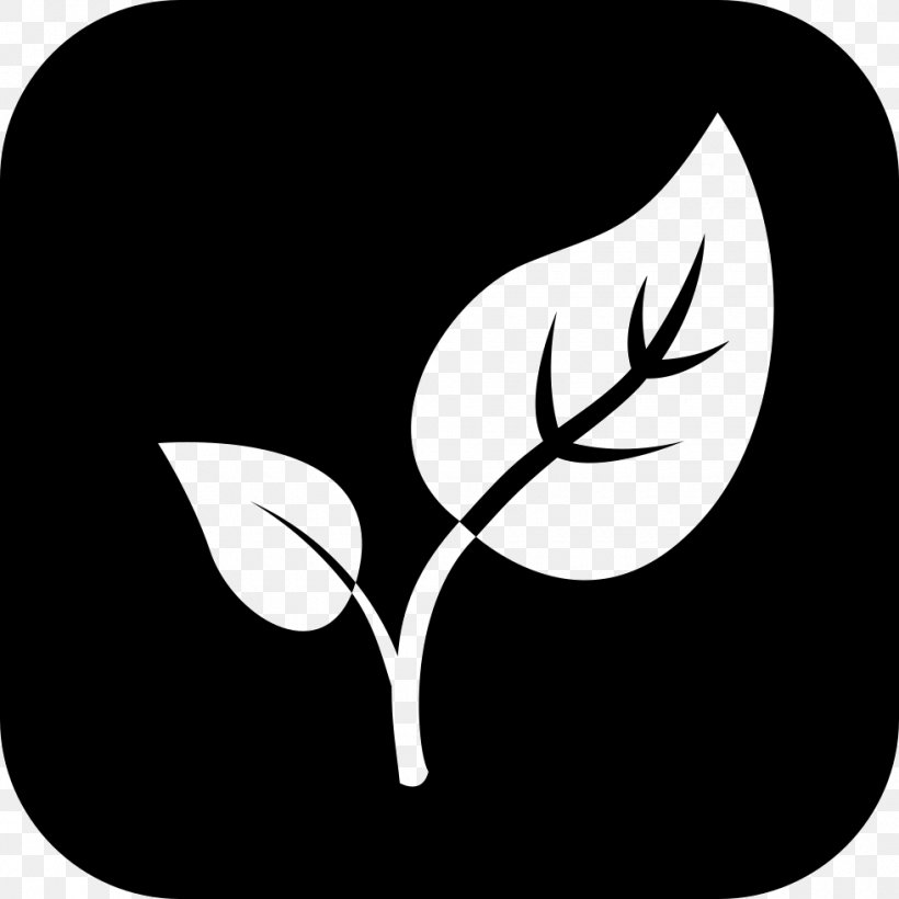 Nature, PNG, 980x980px, Nature, Black, Black And White, Branch, Cursor Download Free