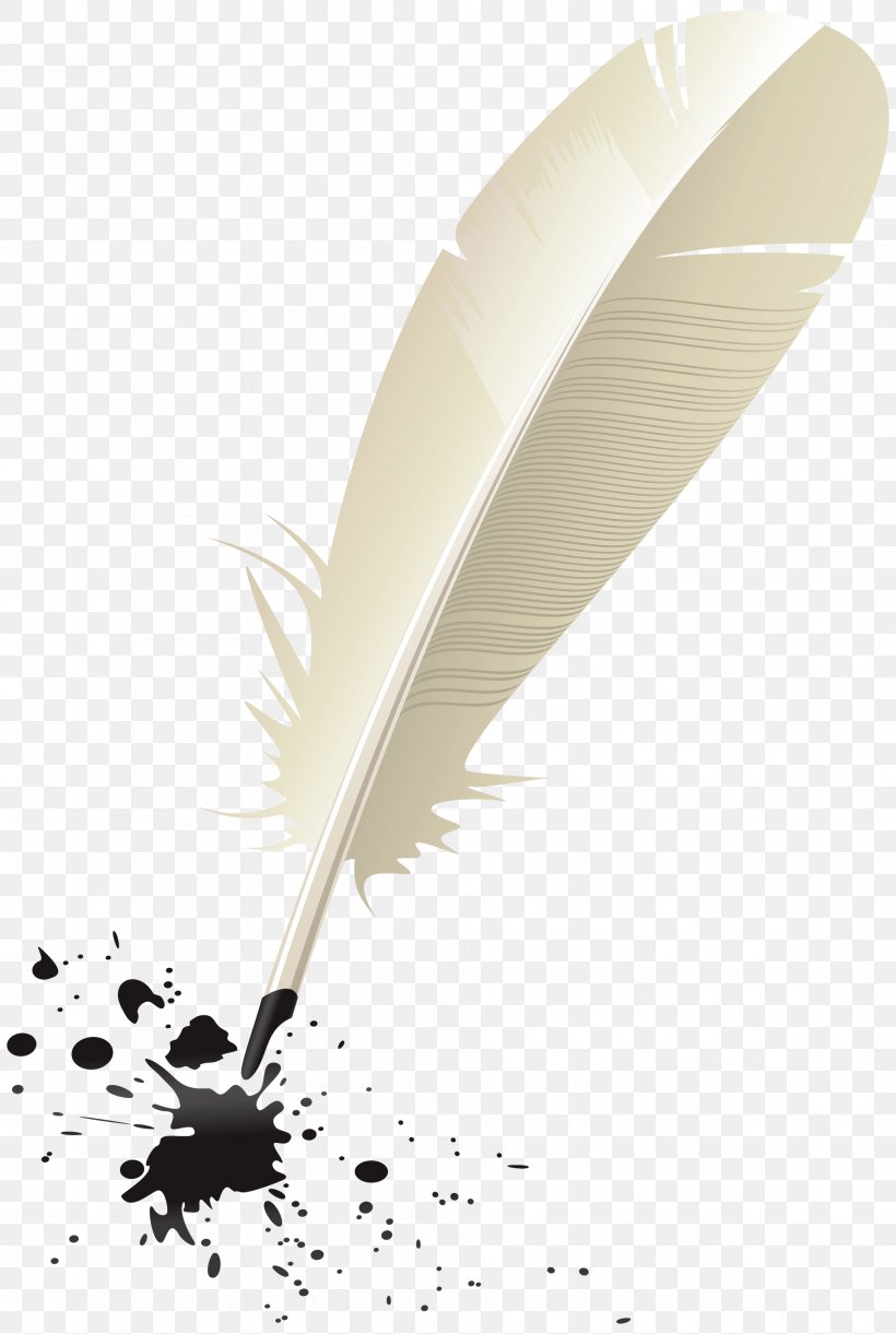 Feather, PNG, 2014x3000px, Feather, Fashion Accessory, Fountain Pen, Natural Material, Office Instrument Download Free