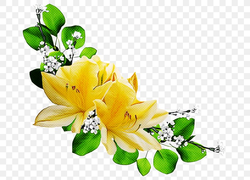 Flower Lily Cut Flowers Yellow Bouquet, PNG, 692x591px, Flower, Bouquet, Cut Flowers, Floristry, Flower Arranging Download Free