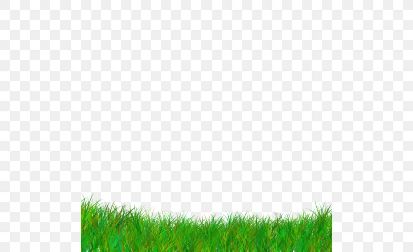 Green Grass Background, PNG, 500x500px, Lawn, Artificial Turf, Field, Fodder, Grass Download Free