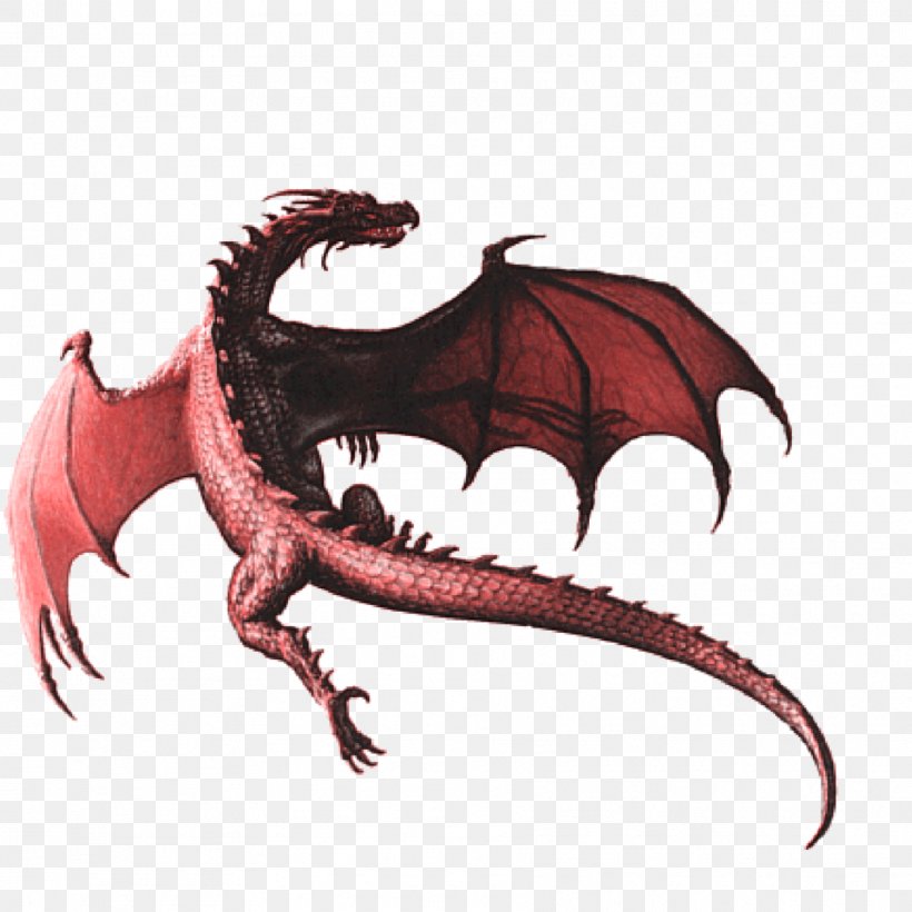 Flying Red Dragon Red Dragon T-Shirt Image Art, PNG, 1773x1773px, Dragon, Art, Artist, Claw, Cryptid Download Free