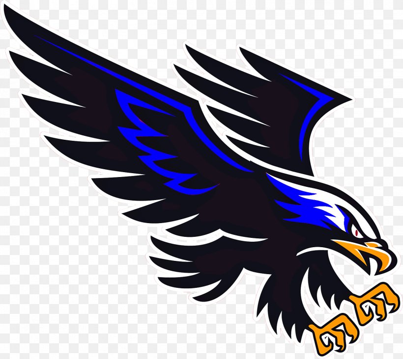 National Secondary School Hinton High School Varsity Team Student, PNG, 1553x1387px, National Secondary School, Bald Eagle, Beak, Bird, Bird Of Prey Download Free