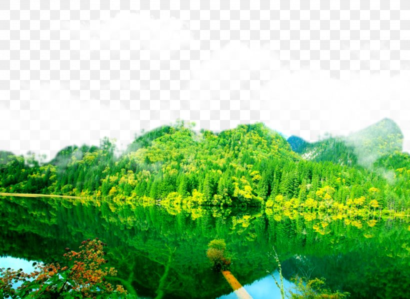 2017 Jiuzhaigou Earthquake Huanglong Waterfall National Park, PNG, 2480x1810px, Jiuzhaigou, Biome, Daytime, Ecosystem, Field Download Free