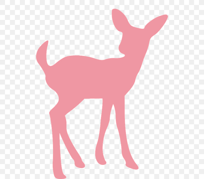 Deer Pink Tail Wildlife Roe Deer, PNG, 530x720px, Deer, Animal Figure, Fawn, Pink, Roe Deer Download Free