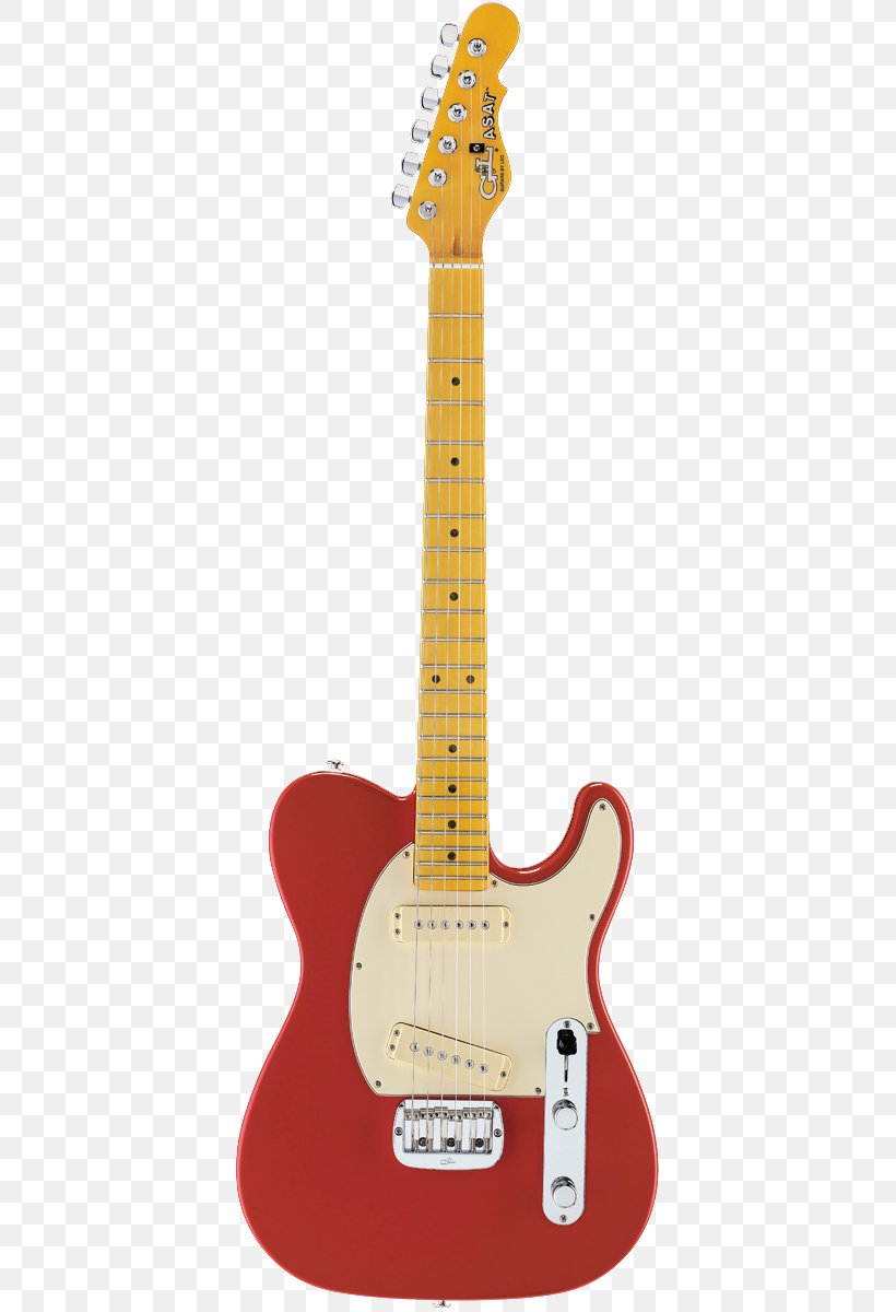 Electric Guitar Bass Guitar Acoustic Guitar Fender Stratocaster Headstock, PNG, 393x1200px, Electric Guitar, Acoustic Electric Guitar, Acoustic Guitar, Bass Guitar, Electronic Musical Instrument Download Free