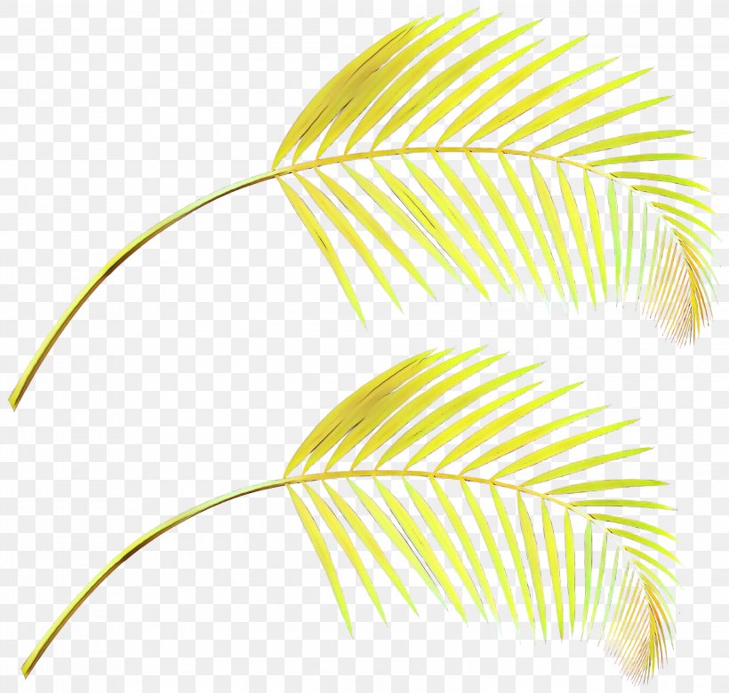 Leaf Yellow Line Plant Clip Art, PNG, 3000x2856px, Cartoon, Leaf, Plant, Yellow Download Free