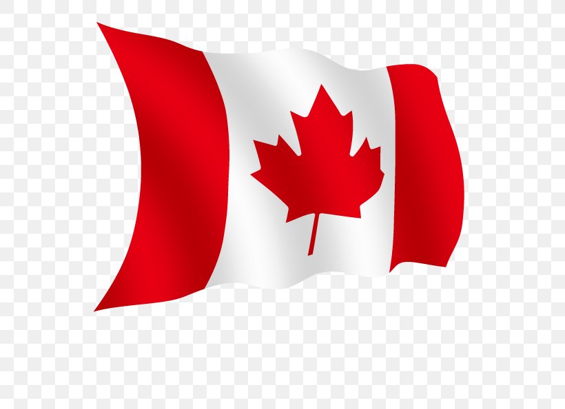 Canada Australia United States Of America Law Organization, PNG, 600x595px, Canada, Australia, Carmine, Country, Flag Download Free