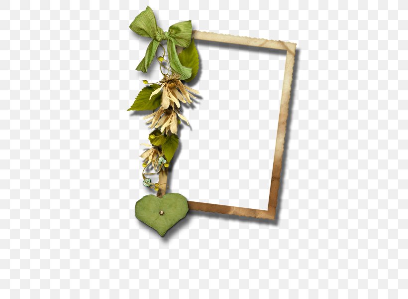 Clip Art, PNG, 600x600px, Photography, Branch, Computer Graphics, Designer, Leaf Download Free