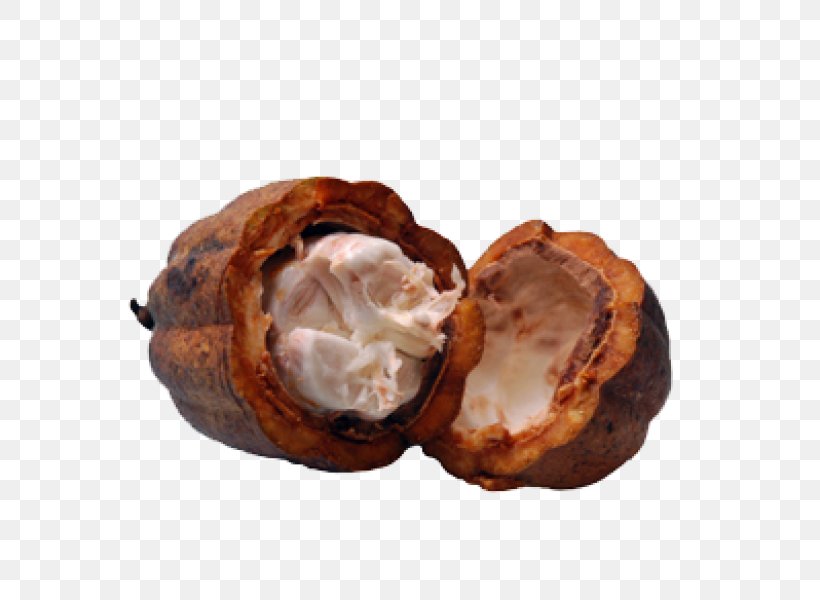 Cream Cocoa Butter Cocoa Bean Food, PNG, 600x600px, Cream, Butter, Buttercream, Cacao Tree, Chocolate Download Free