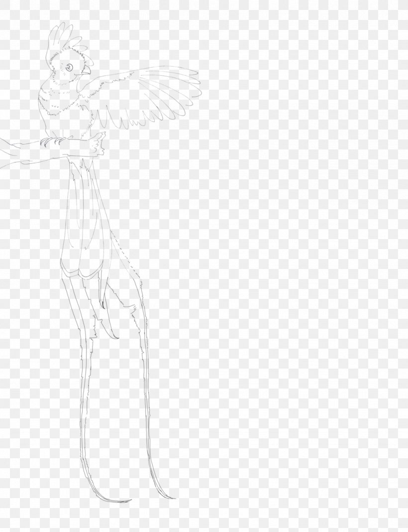 Fairy Line Art Drawing Sketch, PNG, 1024x1334px, Fairy, Angel, Angel M, Arm, Art Download Free