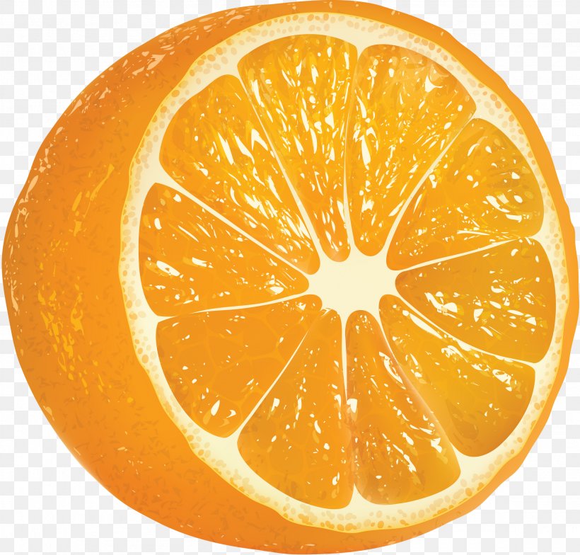 Vector Graphics Clip Art Orange Image, PNG, 2310x2210px, Orange, Bitter Orange, Citric Acid, Citrus, Clementine Download Free