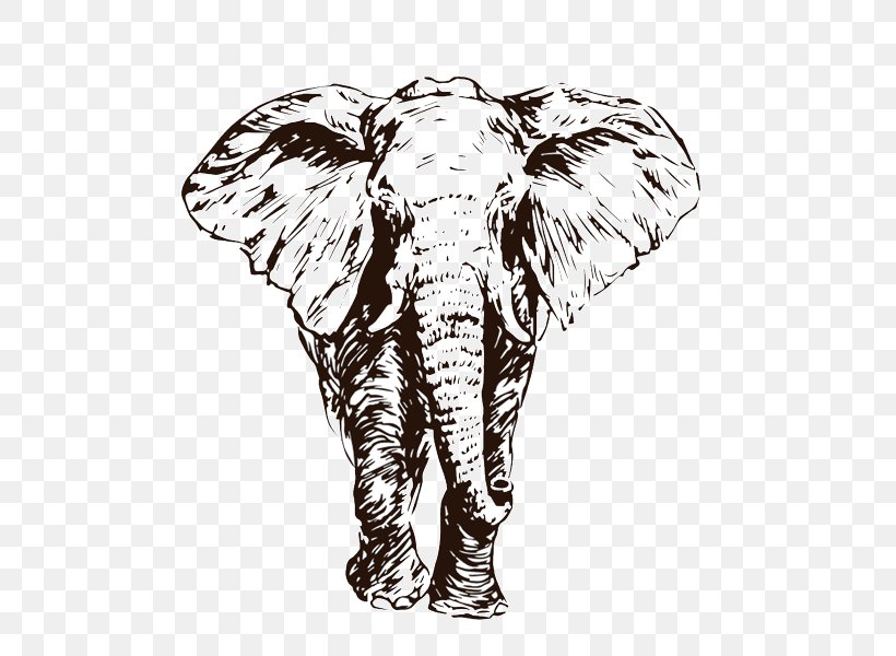 African Elephant Indian Elephant Sketch Drawing Illustration, PNG, 600x600px, African Elephant, Black And White, Cattle Like Mammal, Doodle, Drawing Download Free