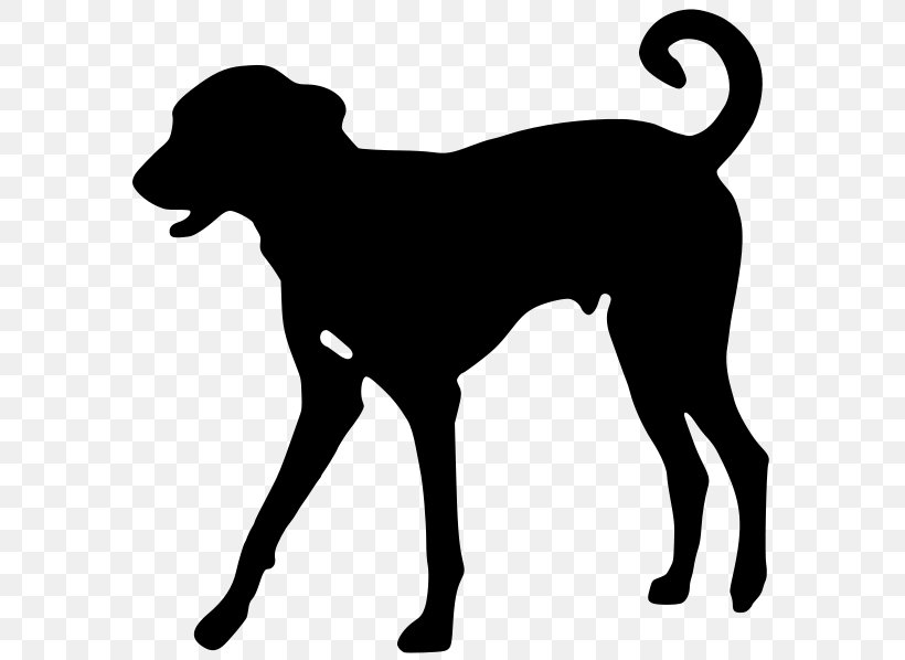 Dobermann Greyhound Beagle Labrador Retriever Puppy, PNG, 591x598px, Dobermann, Animal, Beagle, Black, Black And White Download Free