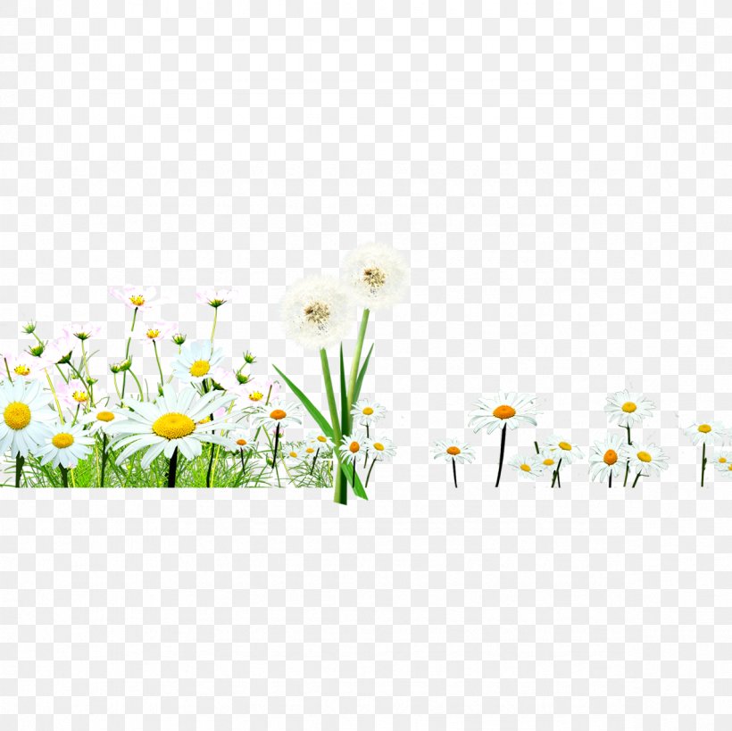Floral Design Chrysanthemum Indicum Asteroideae Pattern, PNG, 1181x1181px, Floral Design, Area, Asteroideae, Chrysanthemum Indicum, Designer Download Free