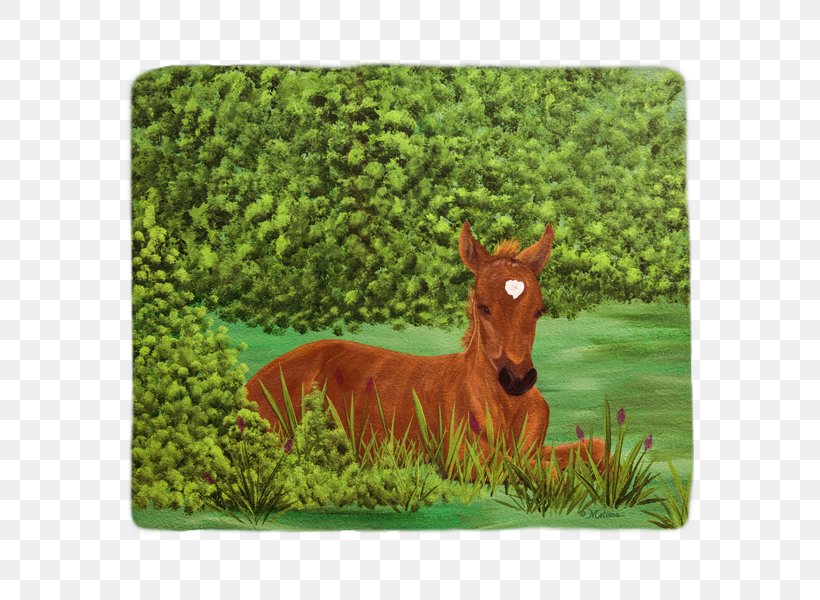 Mare Foal Blanket Mustang Pack Animal, PNG, 600x600px, Mare, Art, Blanket, Deer, Fauna Download Free