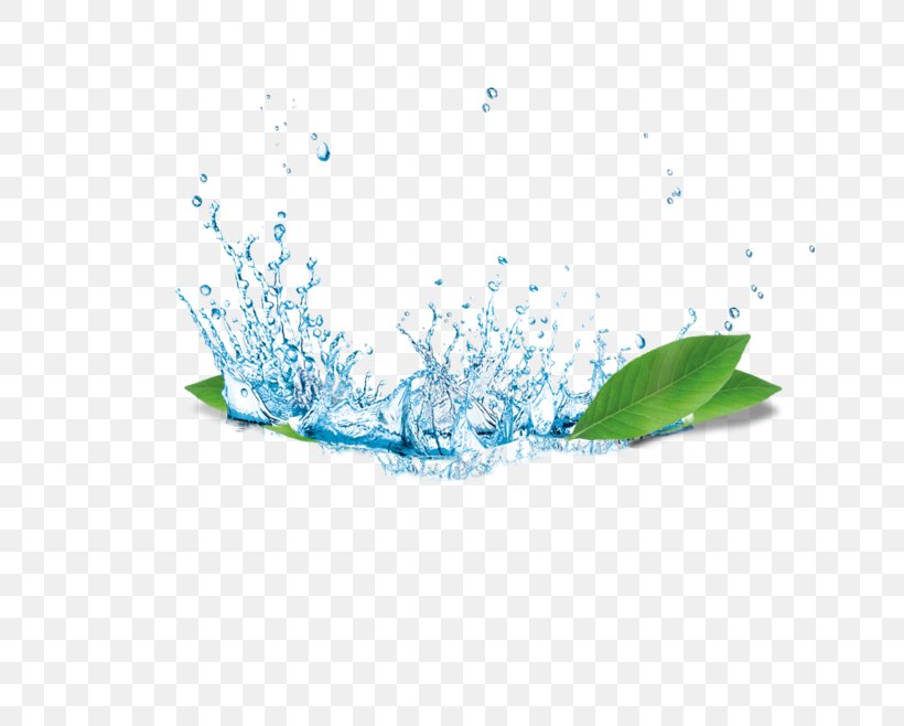 Water, PNG, 658x658px, Carbon Dioxide, Aqua, Aquarium, Aquatic Plants, Bubble Download Free
