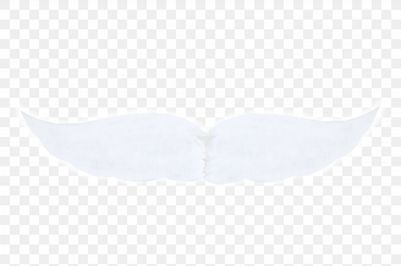 Angle Pattern, PNG, 4288x2848px, Symmetry, White, Wing Download Free