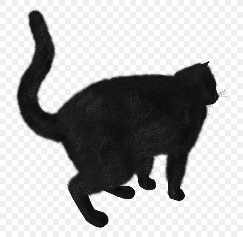 Black Cat Clip Art, PNG, 784x800px, Cat, Black, Black And White, Black Cat, Bombay Download Free