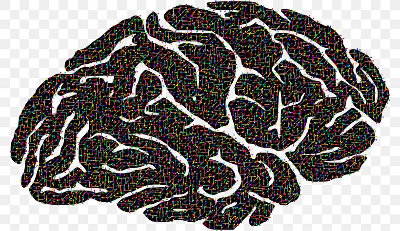 Brain Neuron Clip Art Image Nervous System, PNG, 782x474px, Watercolor, Cartoon, Flower, Frame, Heart Download Free