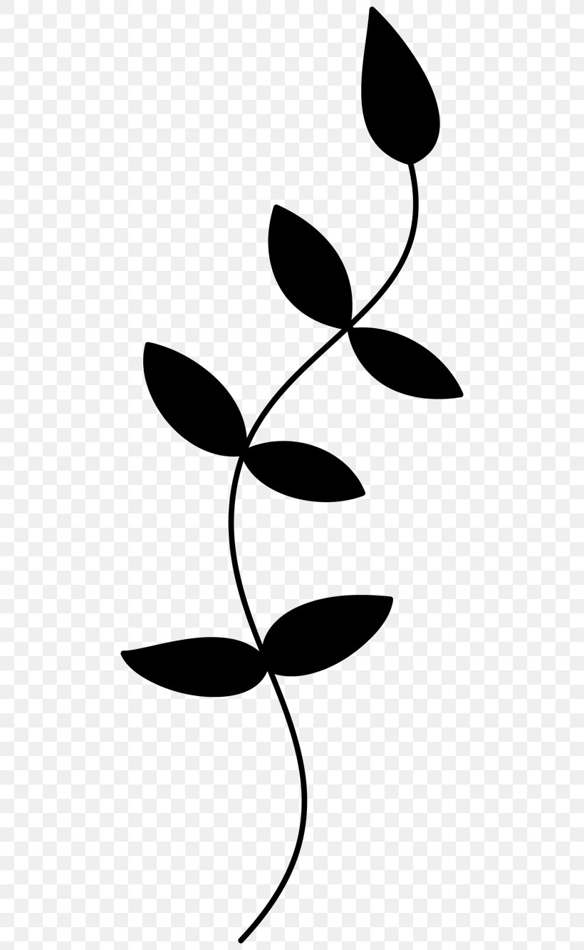 Clip Art Leaf Plant Stem Pattern Silhouette, PNG, 500x1332px, Leaf, Blackandwhite, Botany, Branch, Flower Download Free