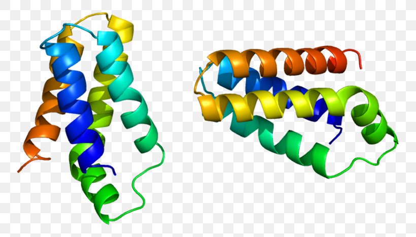 MTORC1 Protein Sirolimus Translation, PNG, 800x467px, Mtor, Amino Acid, Area, Cancer, Fkbp Download Free