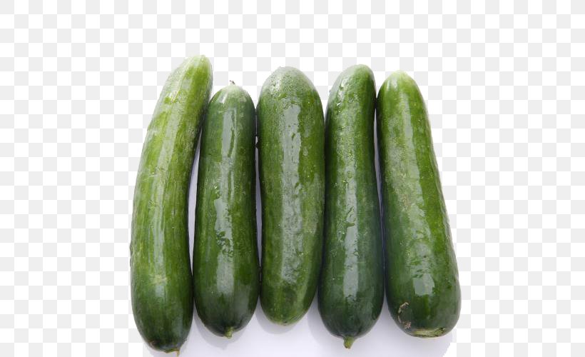 Pickled Cucumber Spreewald Gherkins Vegetable, PNG, 500x500px, Pickled Cucumber, Autumn, Cucumber, Cucumber Gourd And Melon Family, Cucumis Download Free