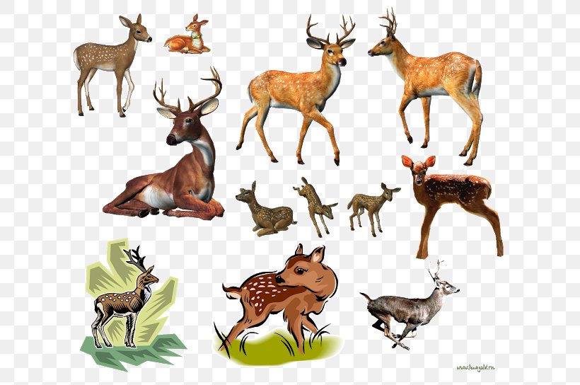 Reindeer Moose Elk, PNG, 640x544px, Reindeer, Animal Figure, Antelope, Antler, Deer Download Free