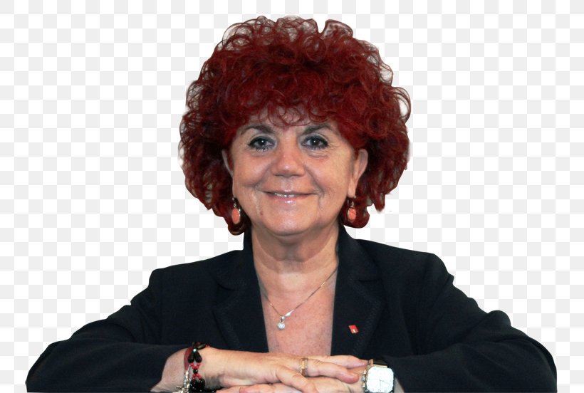 Valeria Fedeli Ministry Of Education, Universities And Research Minister Ministry Of Public Education Treviglio, PNG, 800x552px, Valeria Fedeli, Democratic Party, Elimu, Government, Government Of Italy Download Free