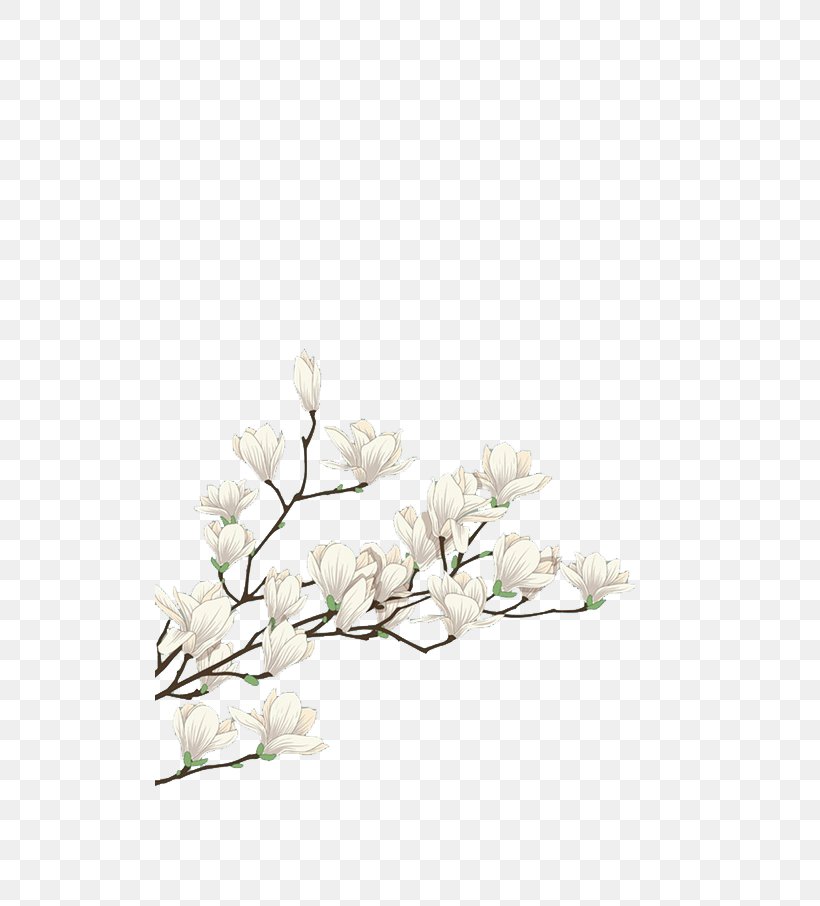 Flower White Computer File, PNG, 510x906px, White, Blossom, Branch, Cactaceae, Color Download Free